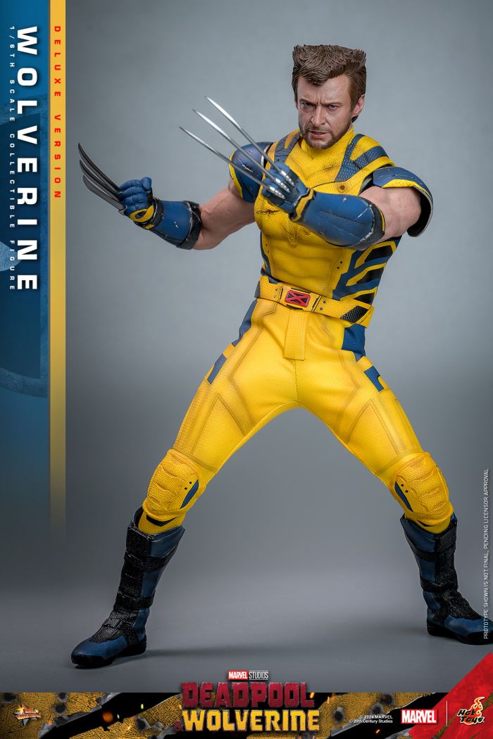 Wolverine 1/6