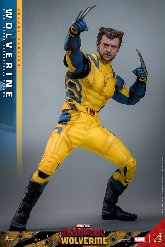 Wolverine 1/6