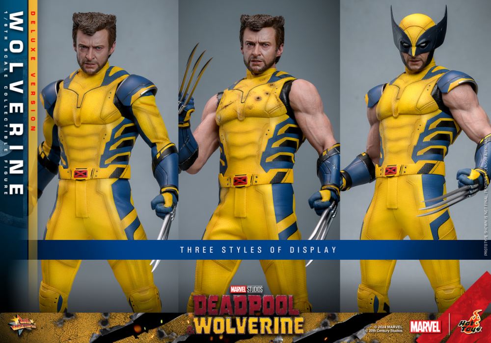 Wolverine 1/6