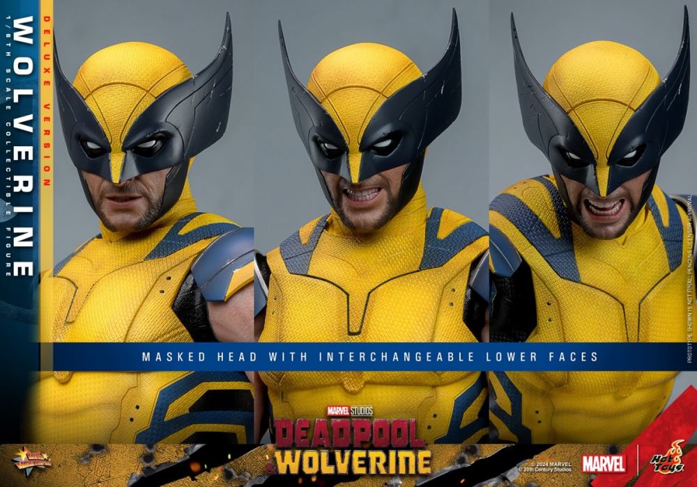 Wolverine 1/6
