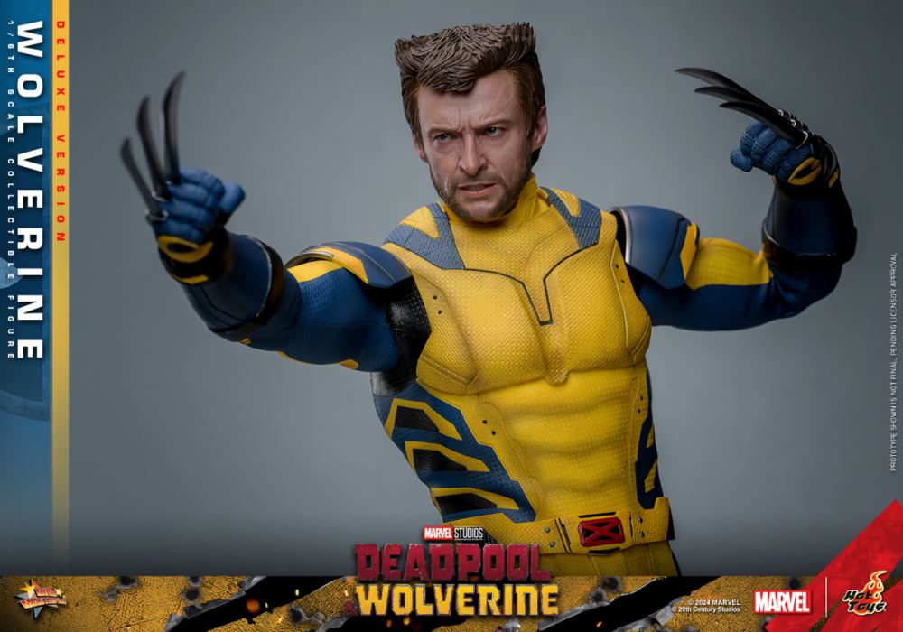 Wolverine 1/6