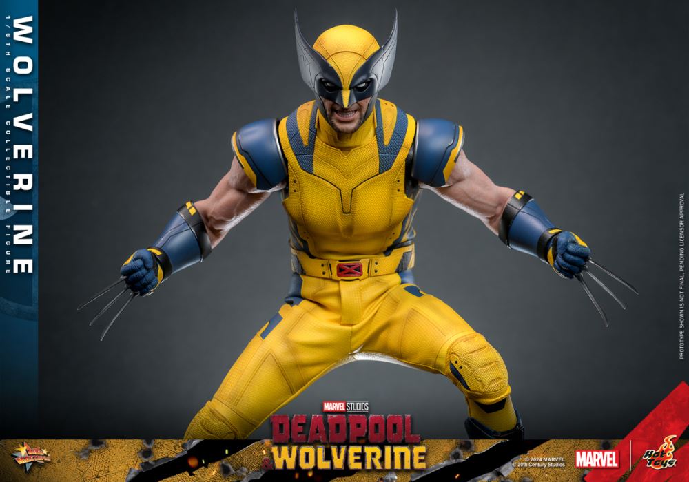 Wolverine 1/6