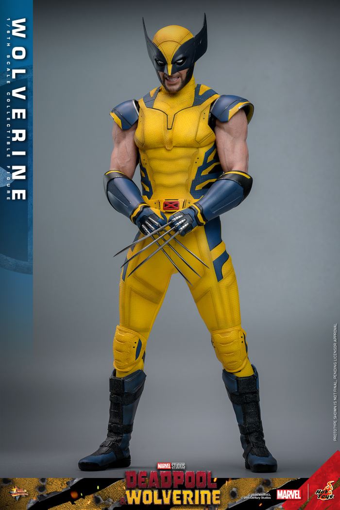Wolverine 1/6