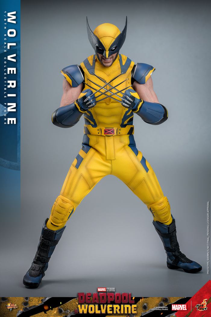 Wolverine 1/6