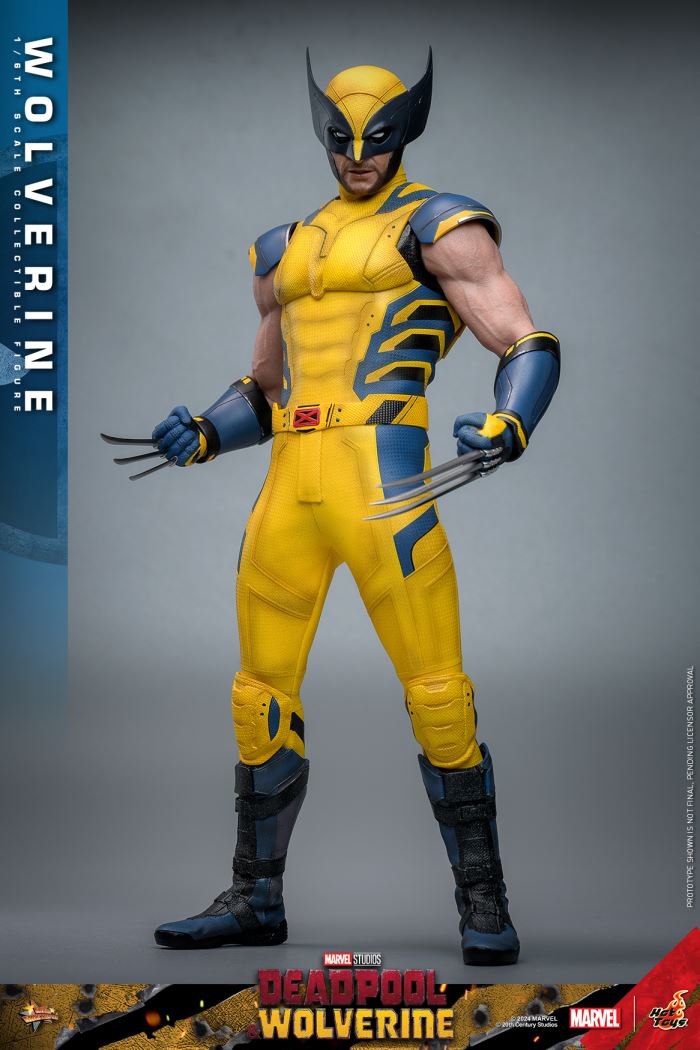 Wolverine 1/6