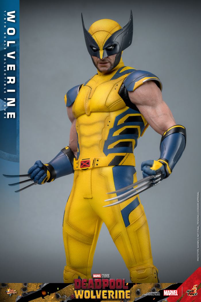 Wolverine 1/6