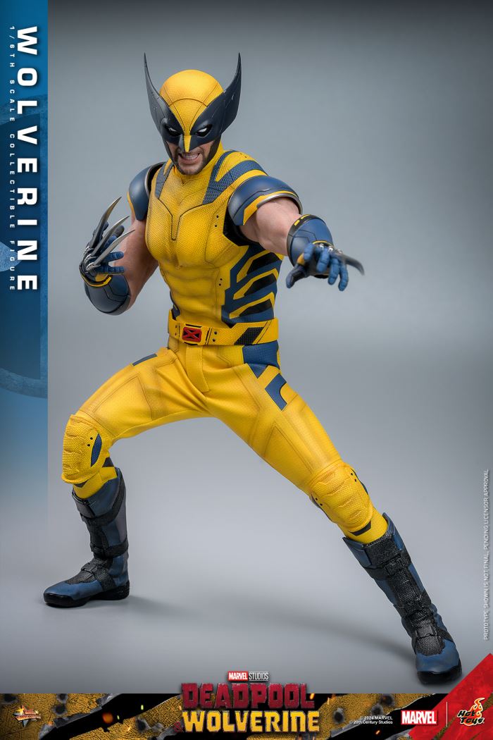 Wolverine 1/6