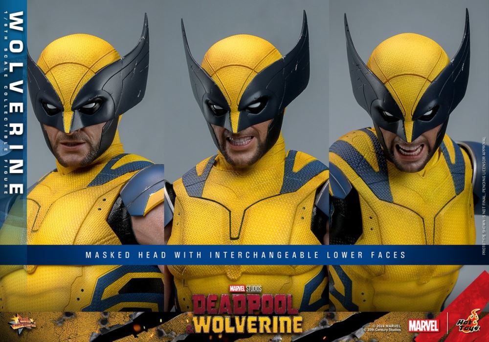 Wolverine 1/6