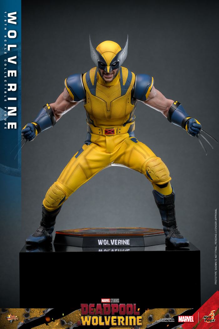 Wolverine 1/6