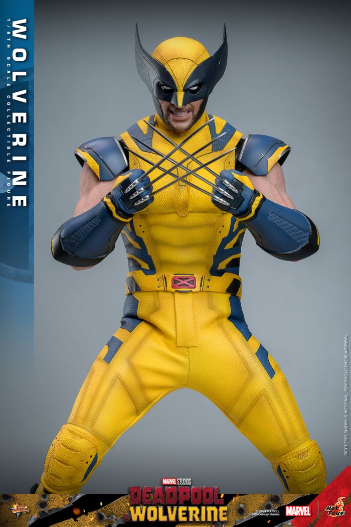 Wolverine 1/6