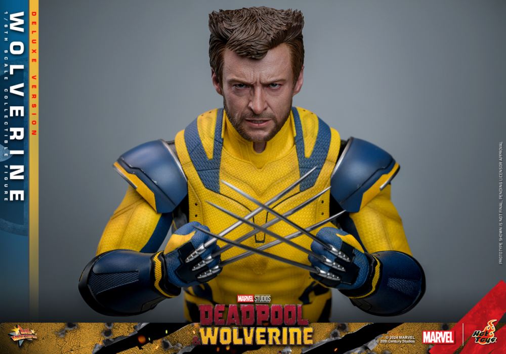 Wolverine 1/6