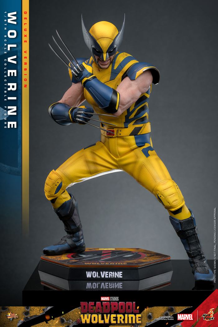 Wolverine 1/6