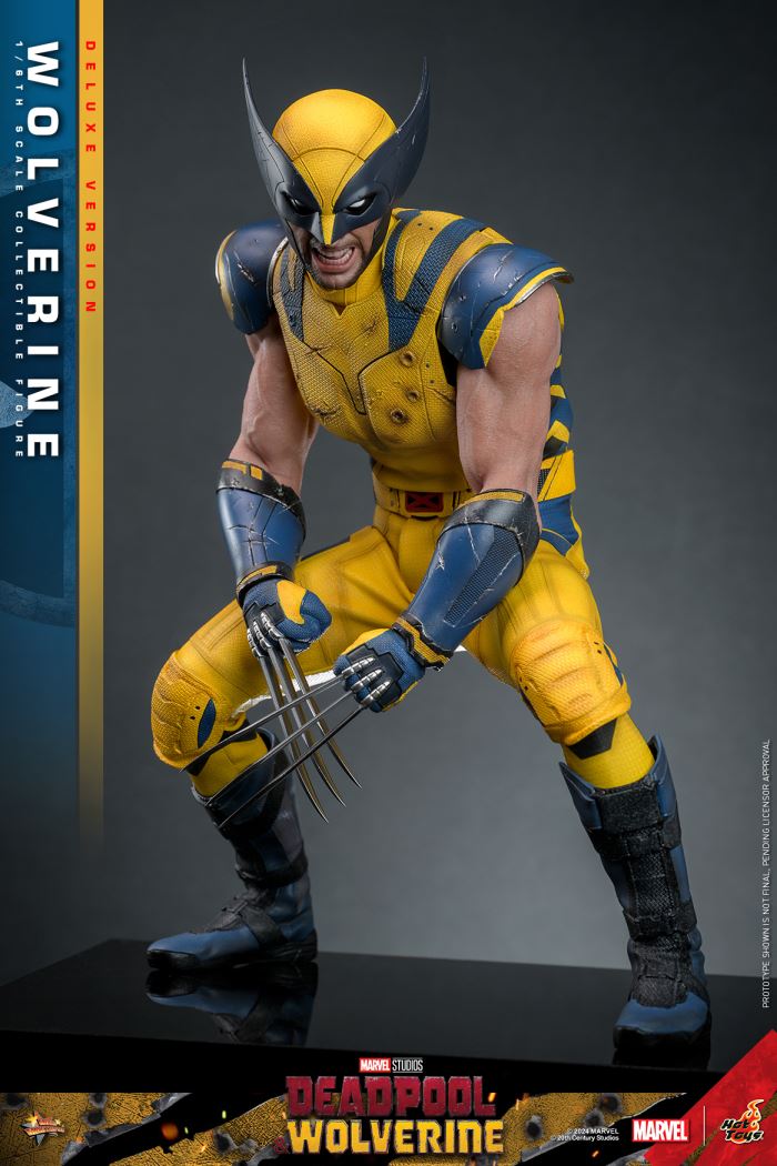 Wolverine 1/6