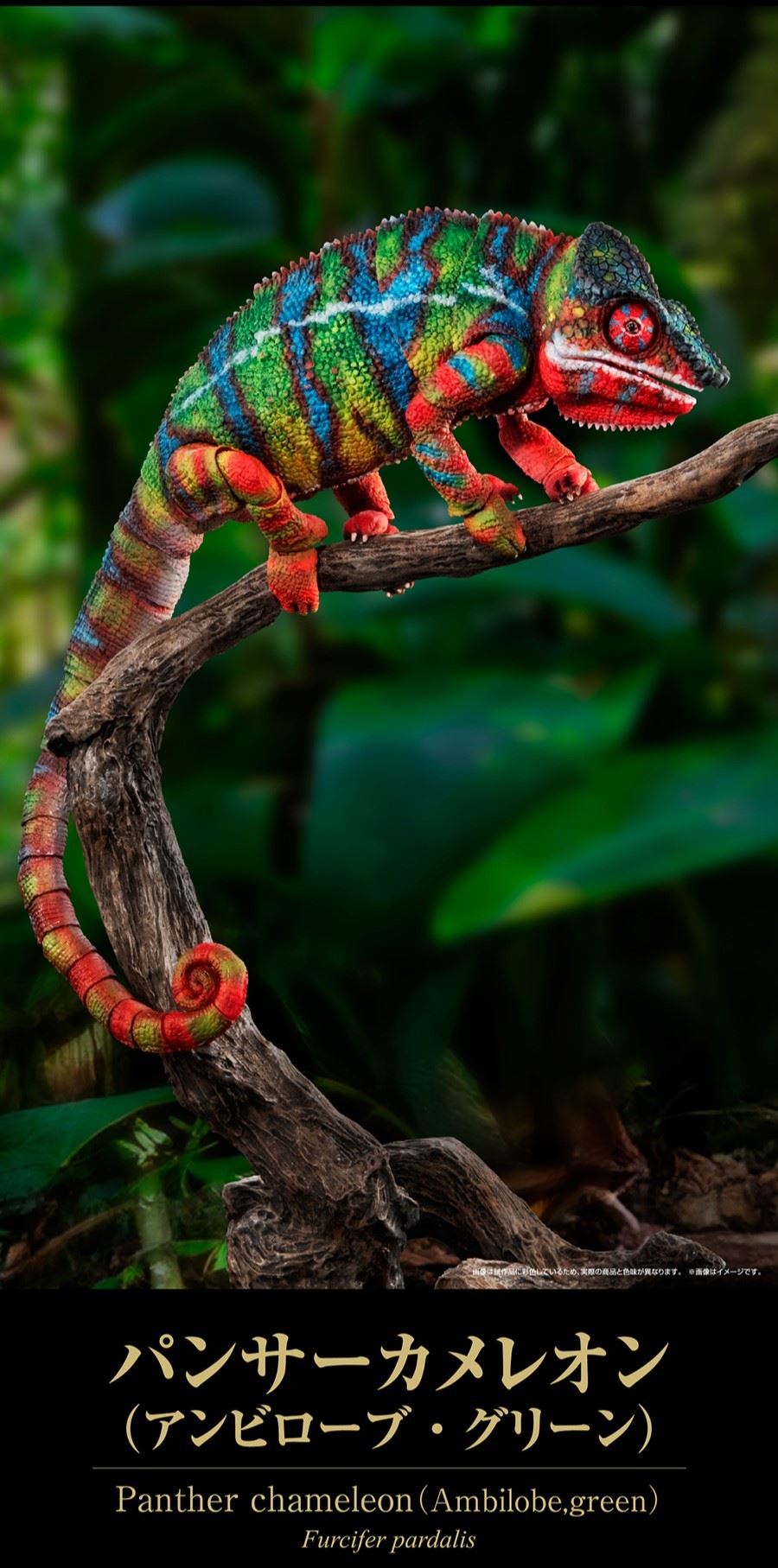 Living Creatures Encyclopedia Premium Panther Chameleon (Ambirove Green)