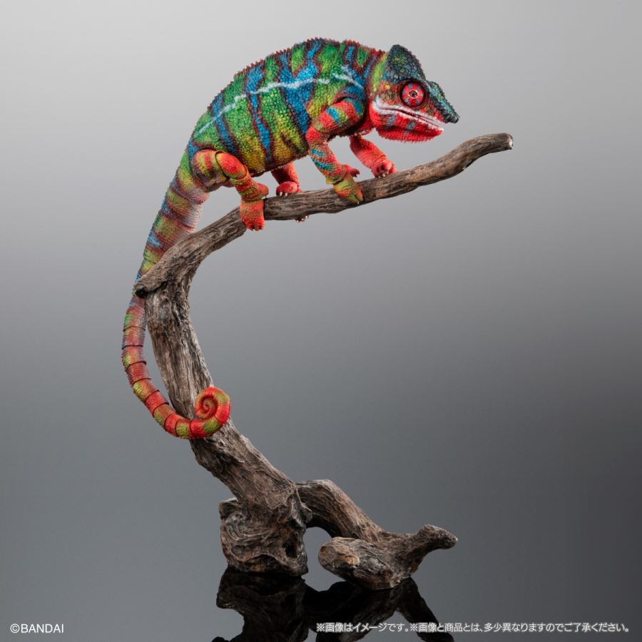 Living Creatures Encyclopedia Premium Panther Chameleon (Ambirove Green)