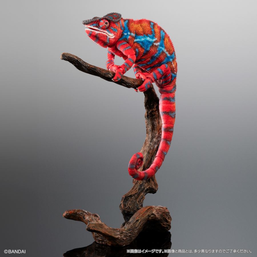 Living Creatures Encyclopedia Premium Panther Chameleon (Ambirove Red)