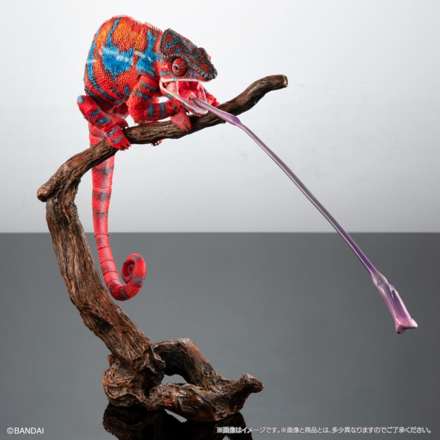 Living Creatures Encyclopedia Premium Panther Chameleon (Ambirove Red)