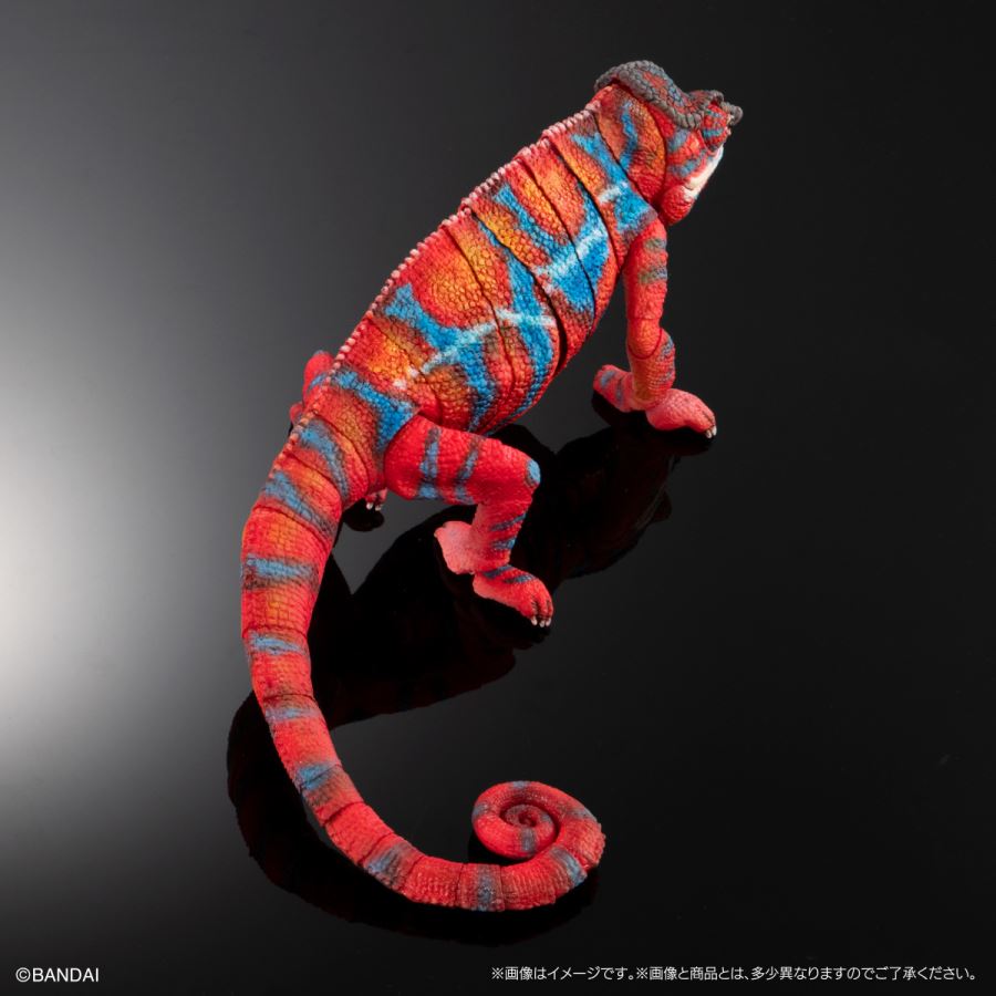 Living Creatures Encyclopedia Premium Panther Chameleon (Ambirove Red)