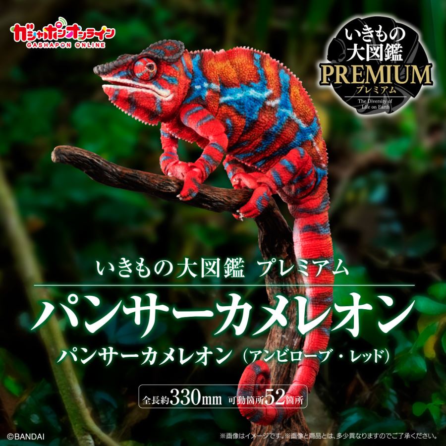Living Creatures Encyclopedia Premium Panther Chameleon (Ambirove Red)