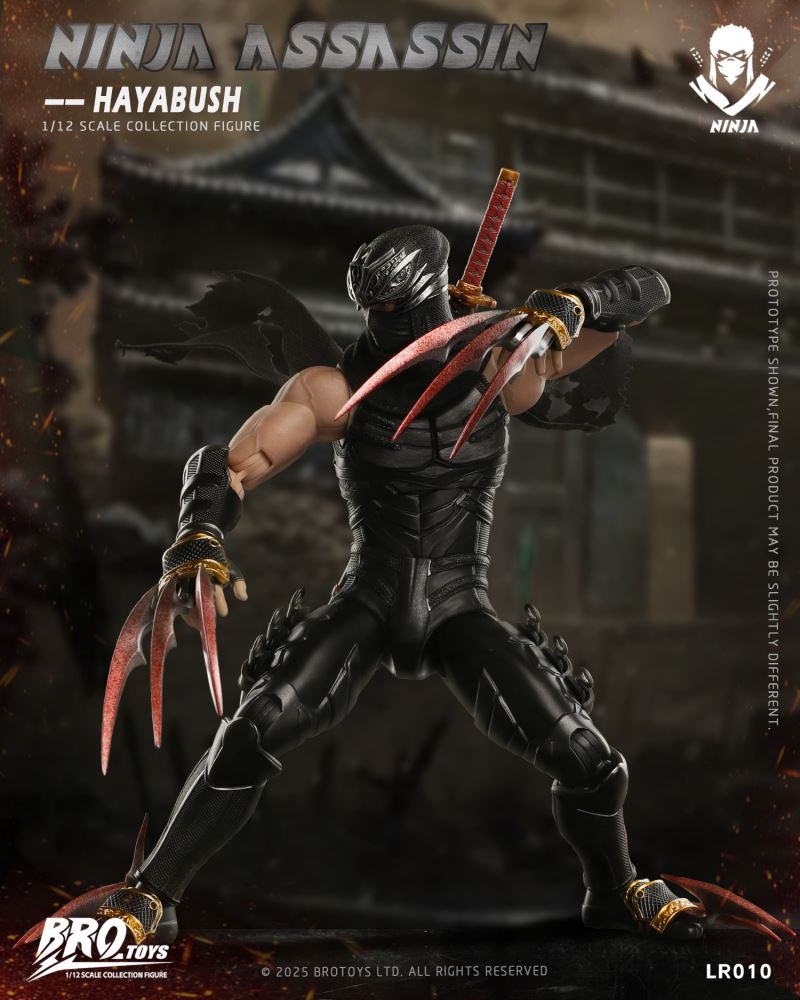 Ninja Assassin - Hayabush 1/12