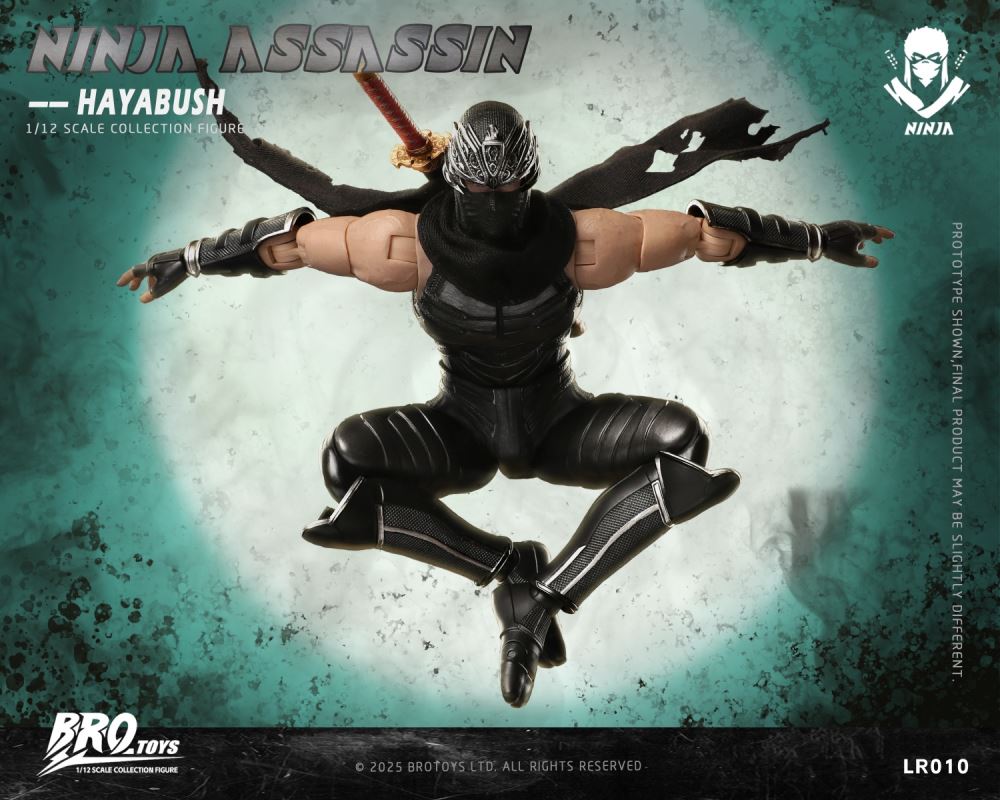 Ninja Assassin - Hayabush 1/12
