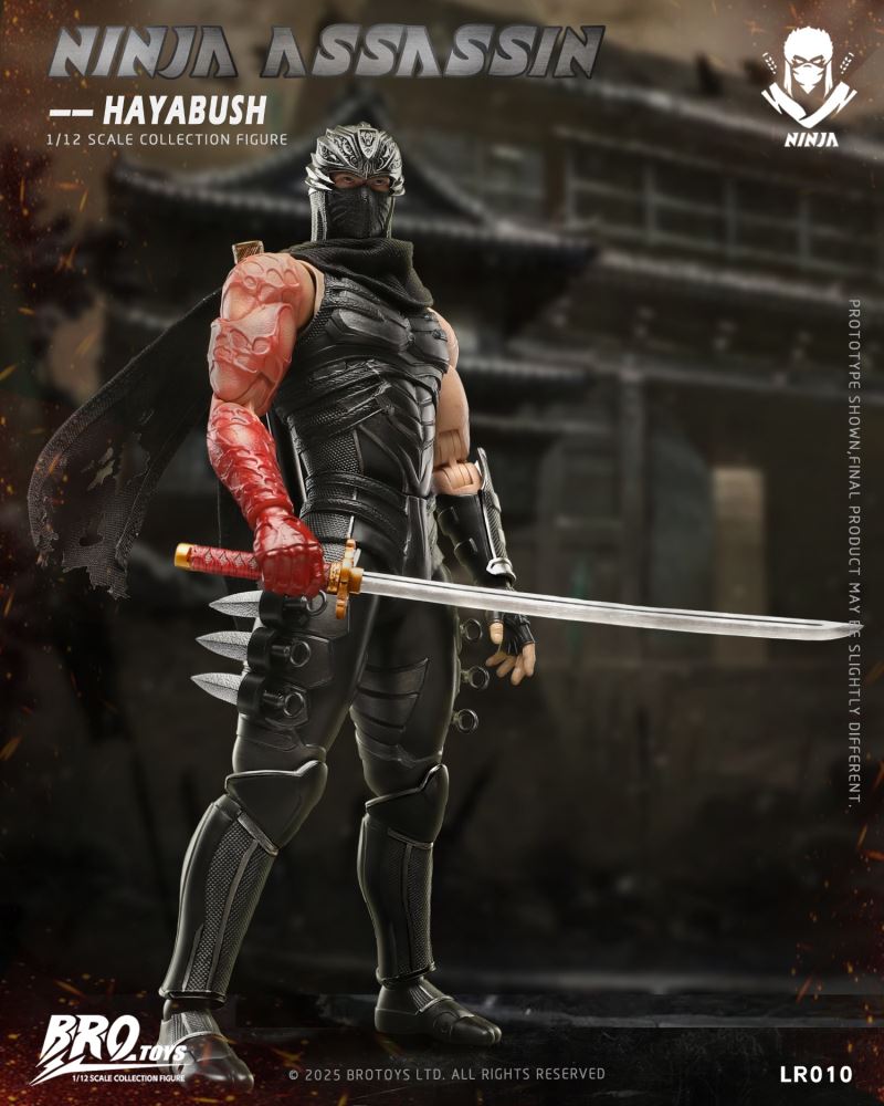 Ninja Assassin - Hayabush 1/12