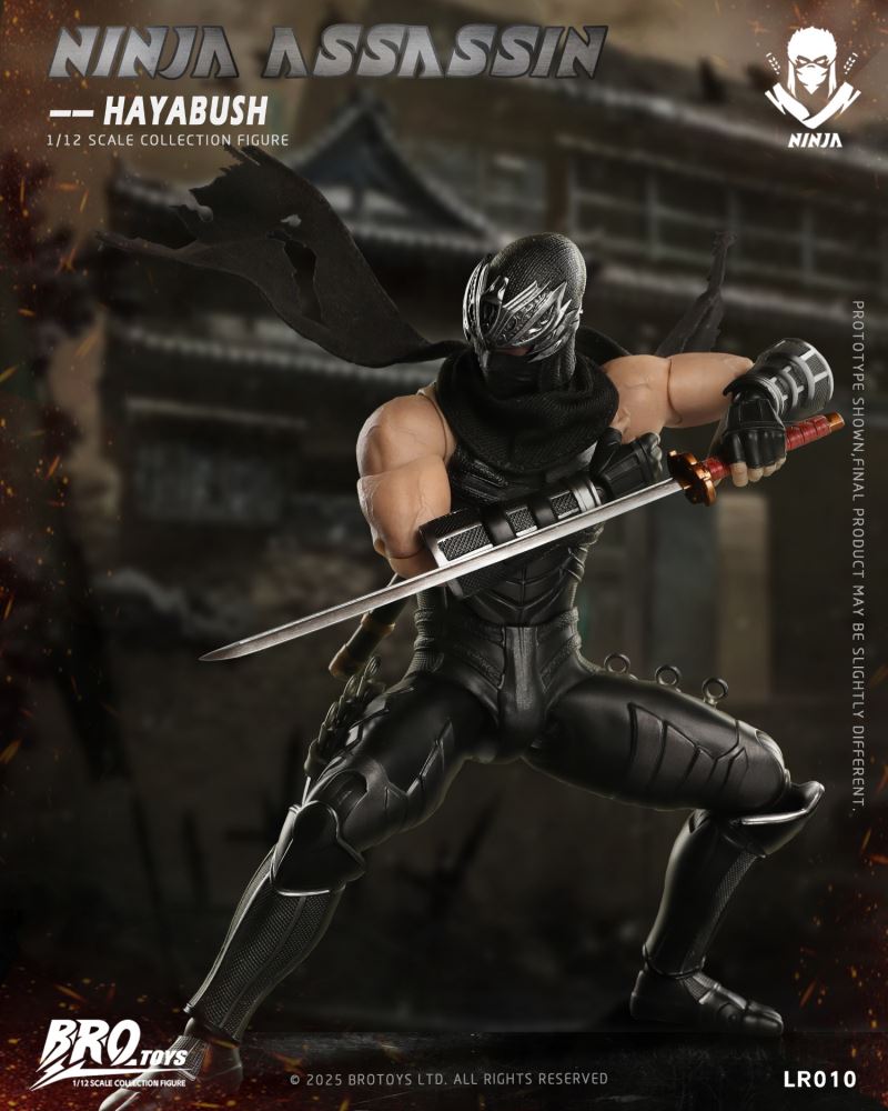 Ninja Assassin - Hayabush 1/12