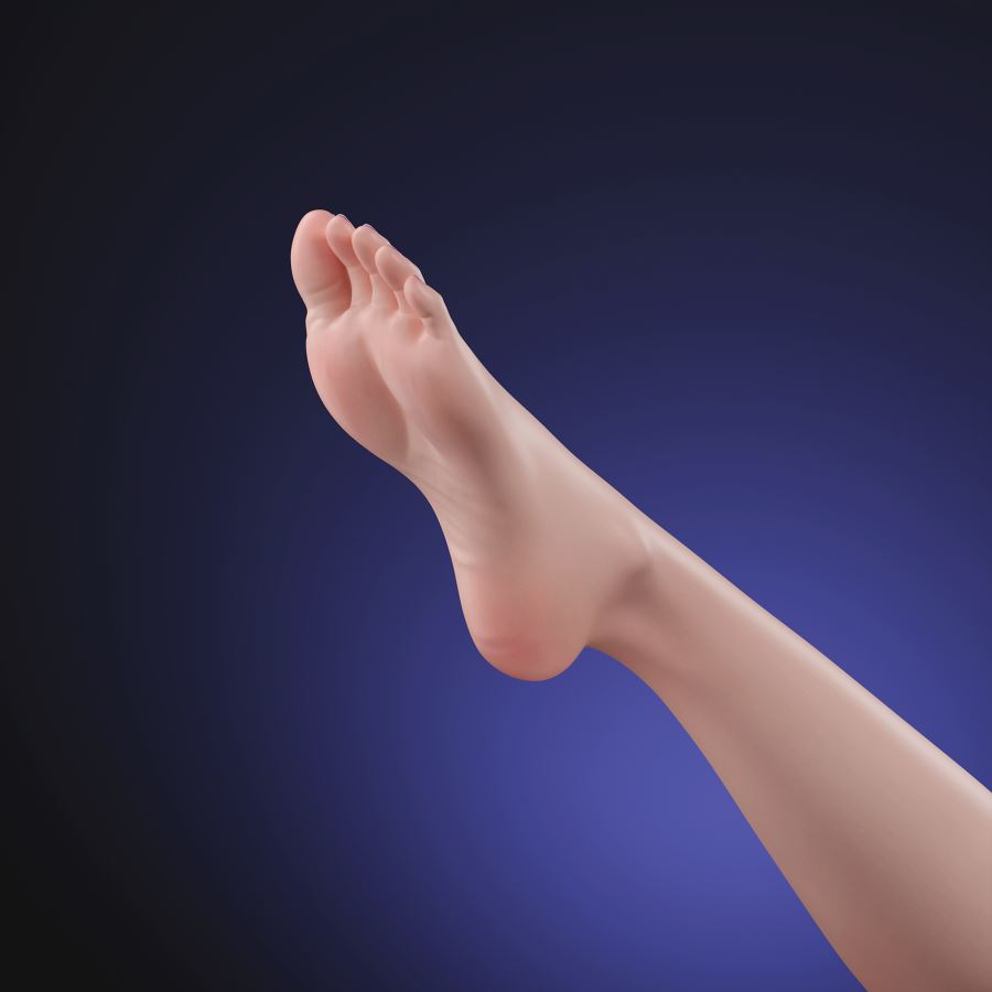 Kiana Herrscher of Finality - Honkai Impact 3 1/6