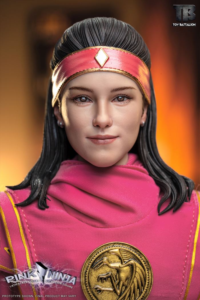 Pink Ninja 1/6
