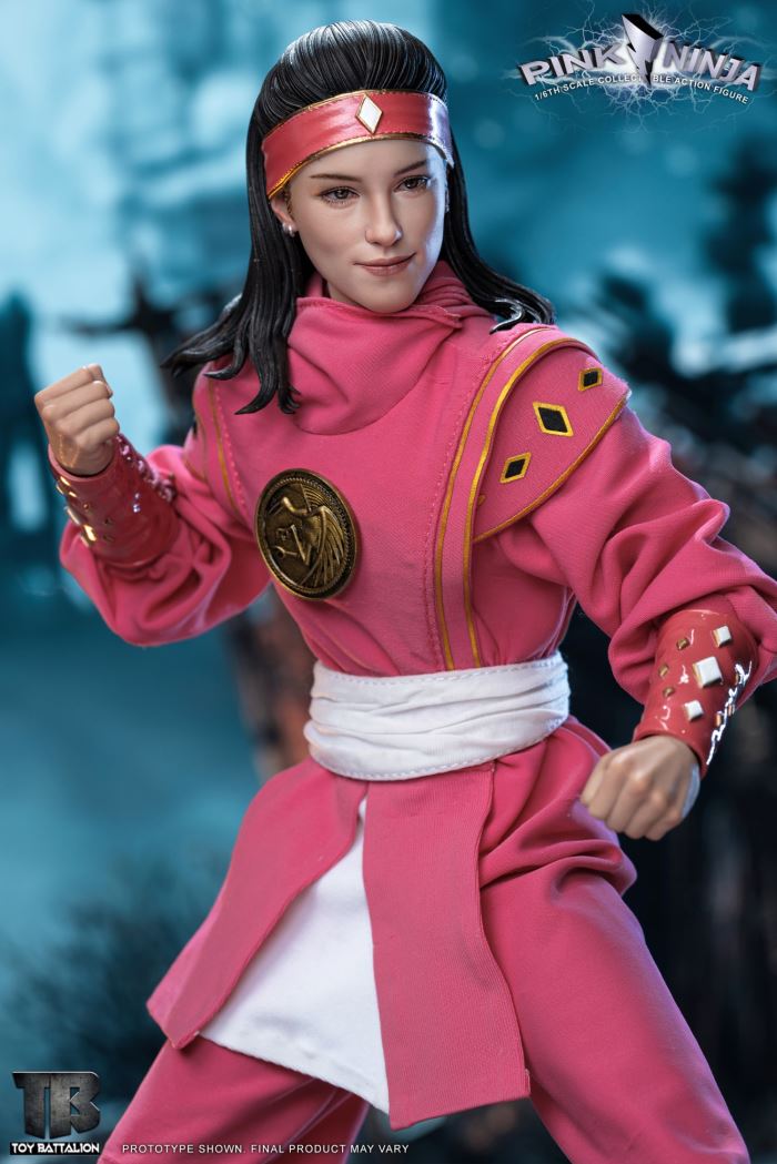 Pink Ninja 1/6