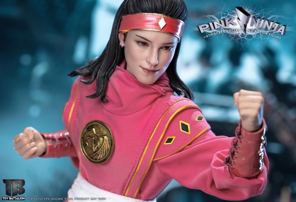 Pink Ninja 1/6