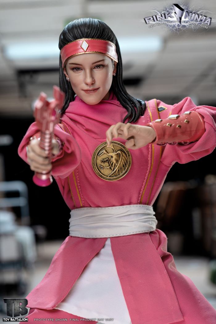 Pink Ninja 1/6