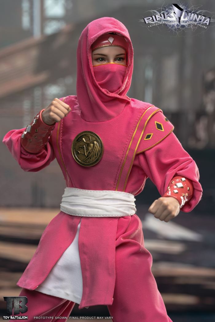 Pink Ninja 1/6