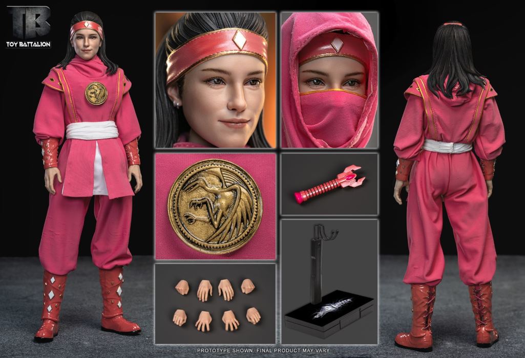 Pink Ninja 1/6