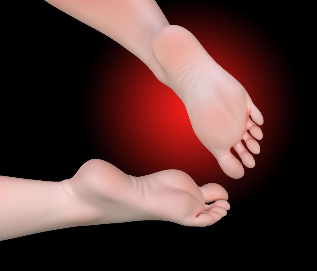 Suzuran & Vulpisfoglia - Arknights