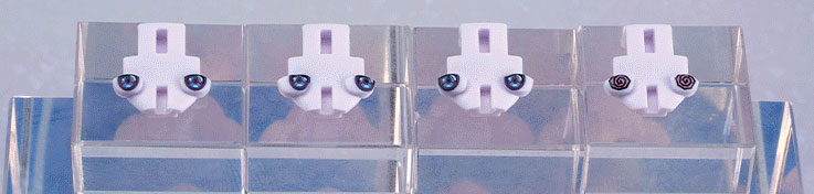 The Primordial Witch Linya part1 1/12