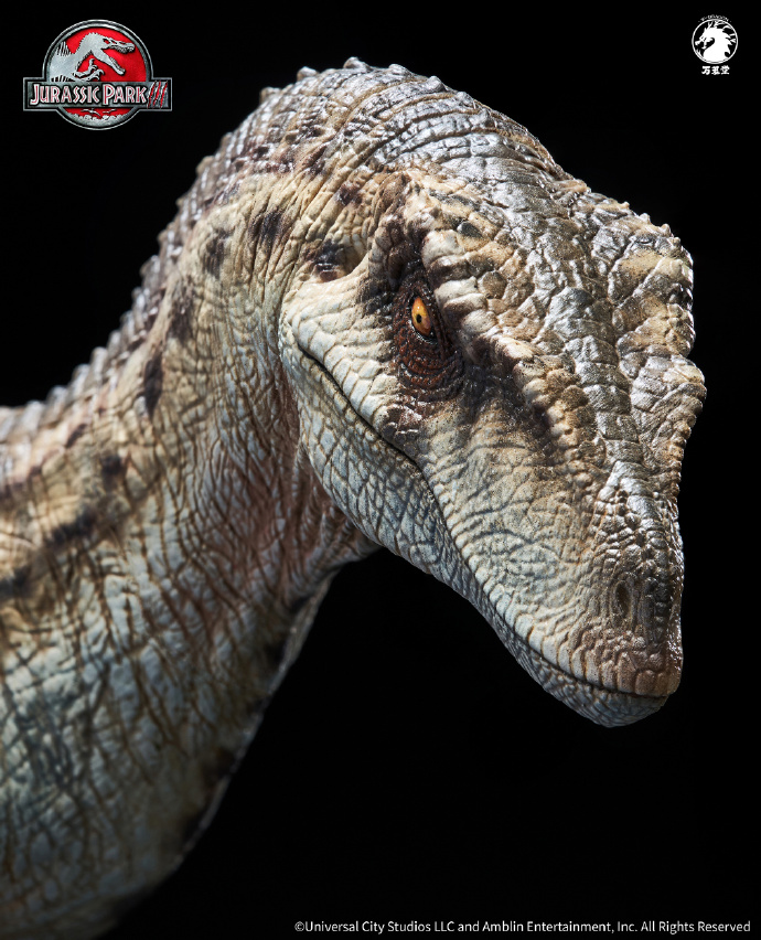 Wan Long Tang Studio - 1/10 Statue Jurassic Park III Female Velociraptor Licensed by Universal Pictures