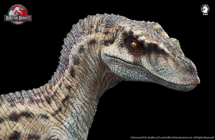 Wan Long Tang Studio - 1/10 Statue Jurassic Park III Female Velociraptor Licensed by Universal Pictures