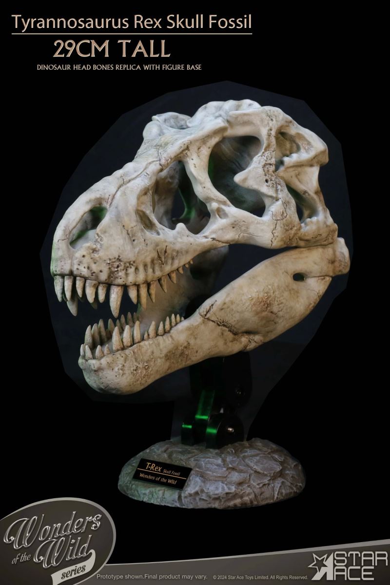 Wonder Wild Series Tyrannosaurus Rex Skull Fossil