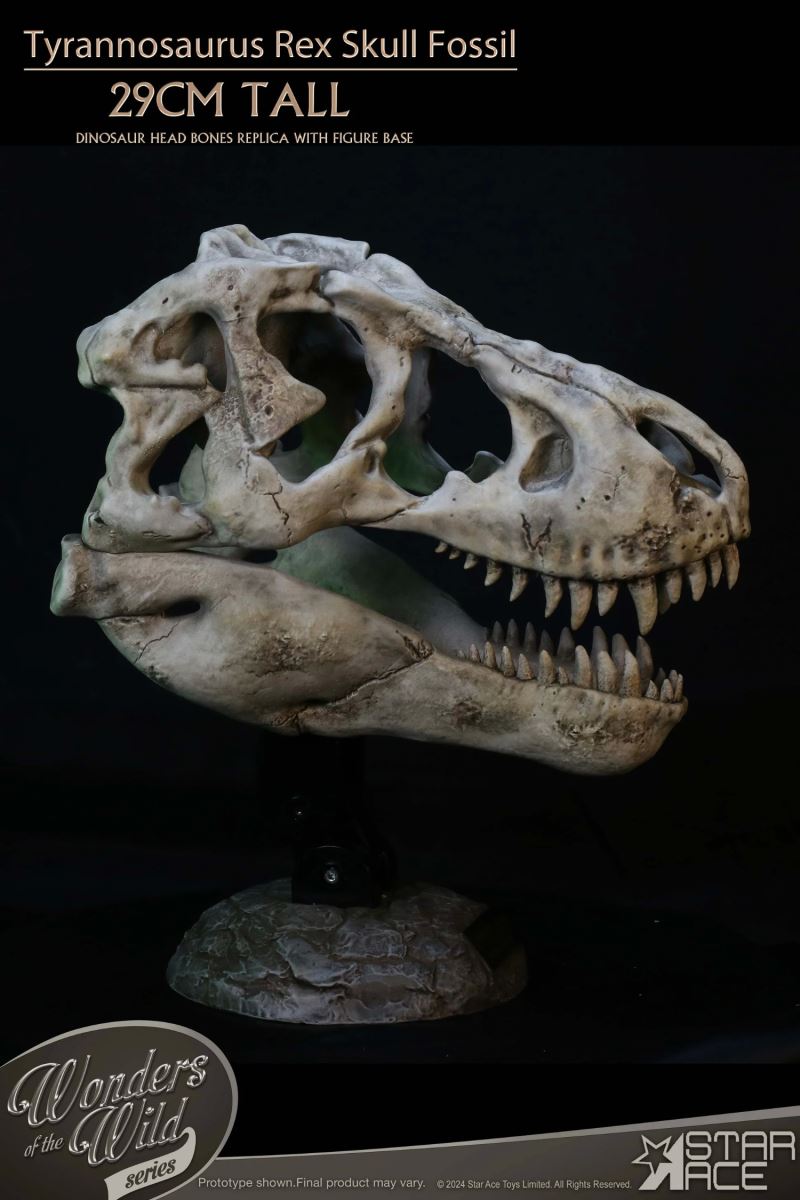Wonder Wild Series Tyrannosaurus Rex Skull Fossil