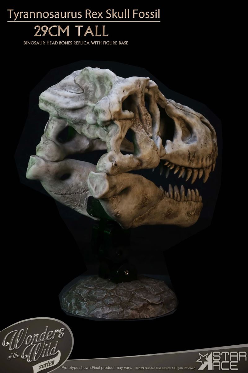 Wonder Wild Series Tyrannosaurus Rex Skull Fossil
