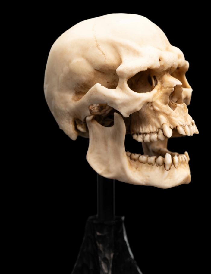 Miniature Skull SKULL OF A MORDOR ORC