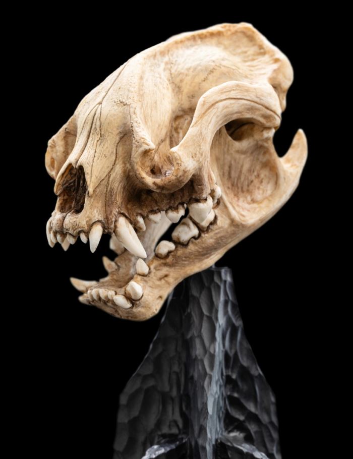 Miniature Skull SKULL OF A MORDOR ORC