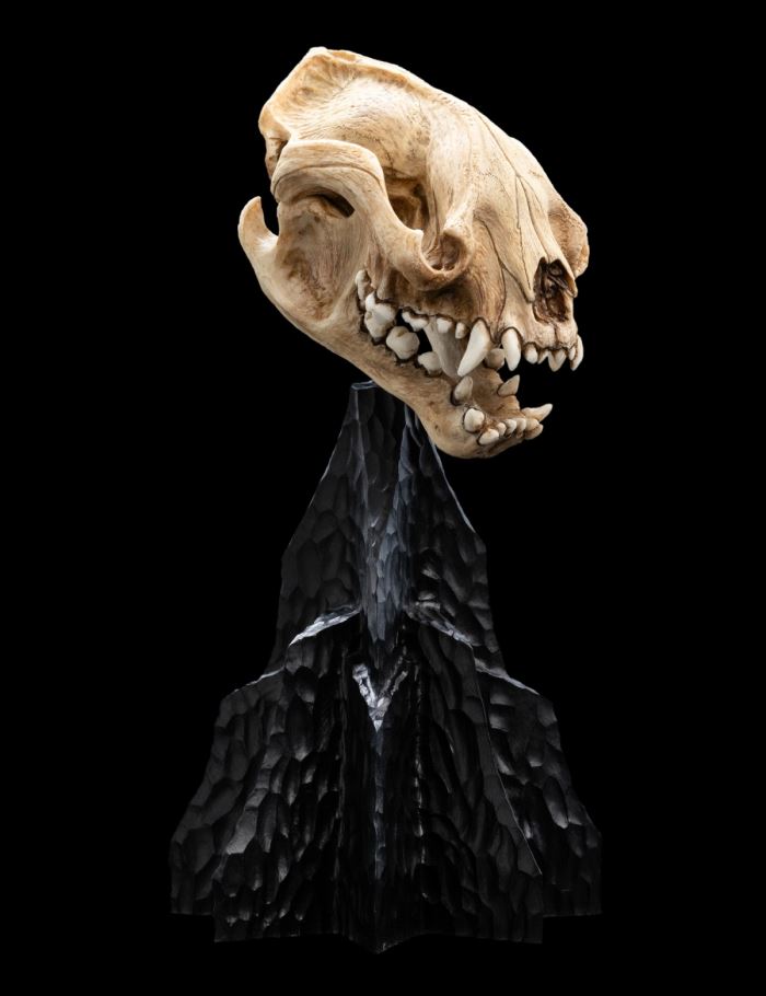 Miniature Skull SKULL OF A MORDOR ORC