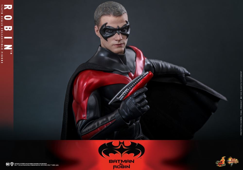 Batman & Robin 1/6
