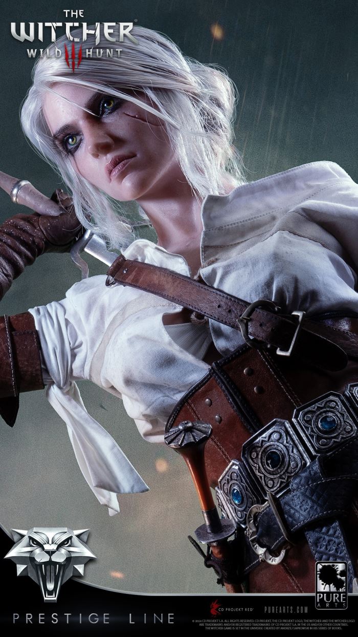 Ciri - The Witcher 3: Wild Hunt 1/2