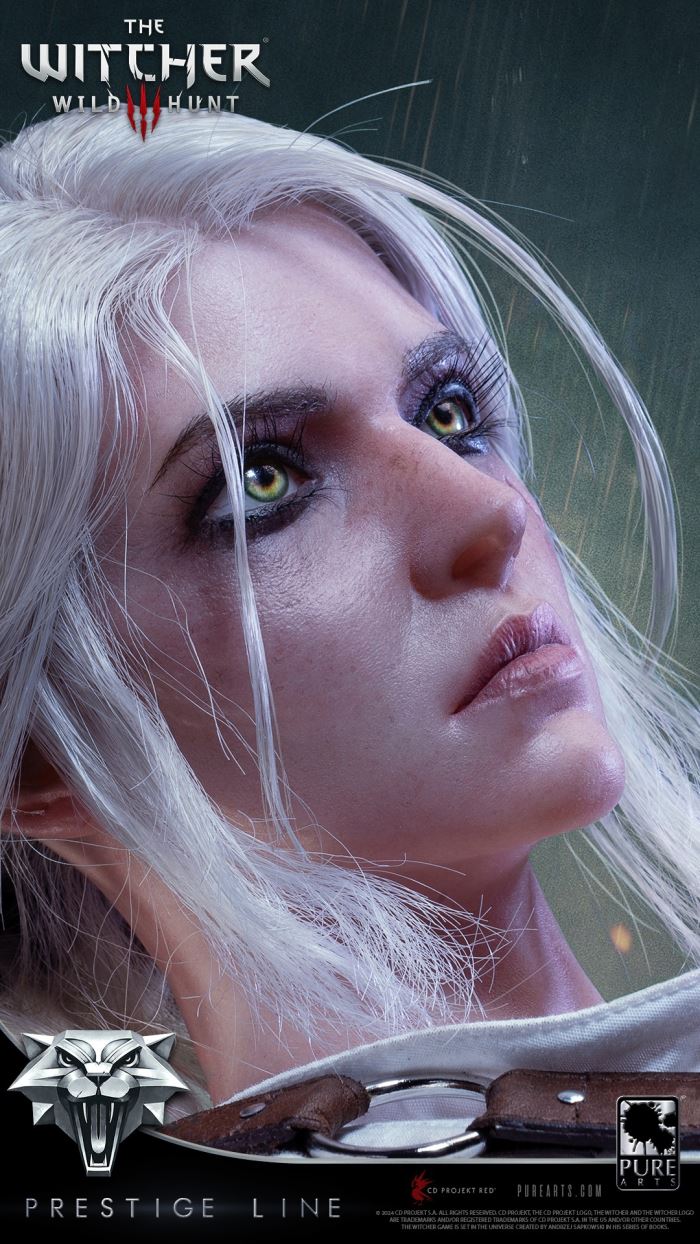 Ciri - The Witcher 3: Wild Hunt 1/2