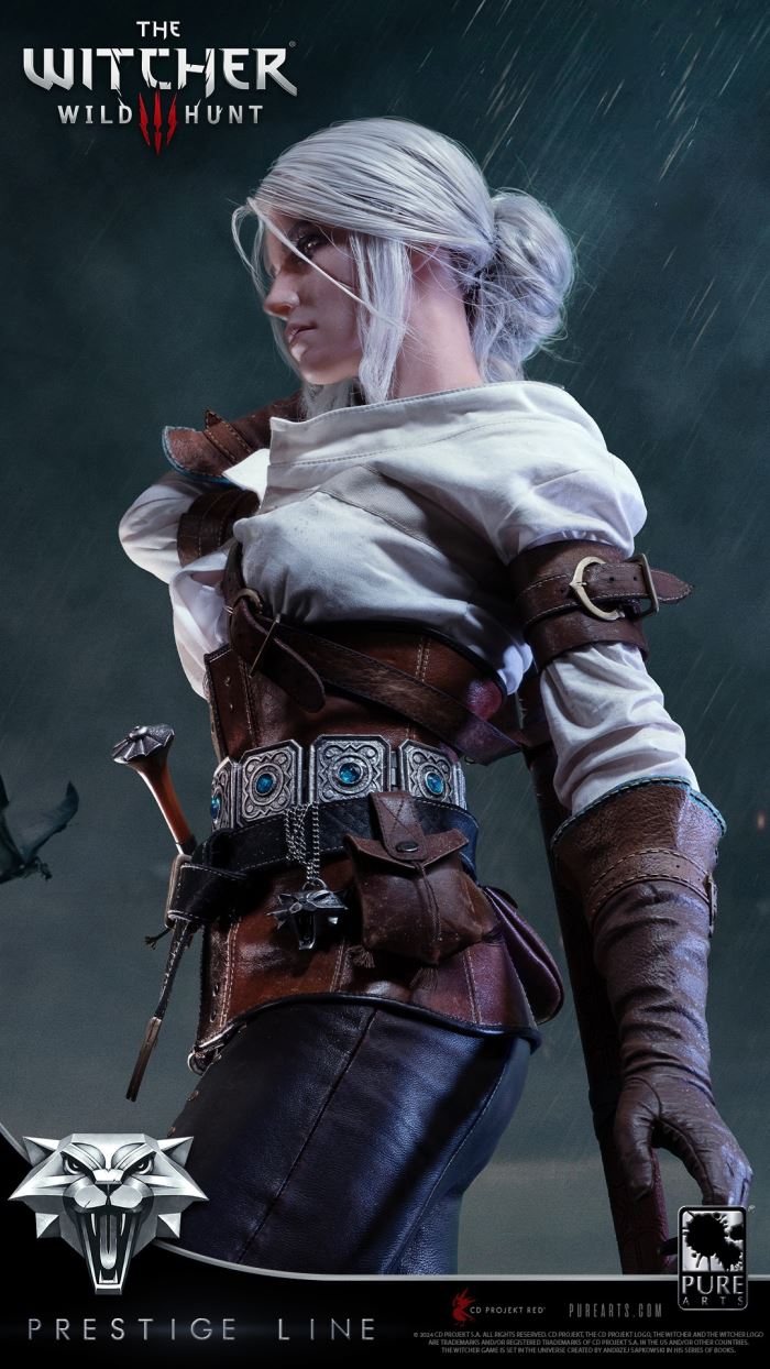 Ciri - The Witcher 3: Wild Hunt 1/2