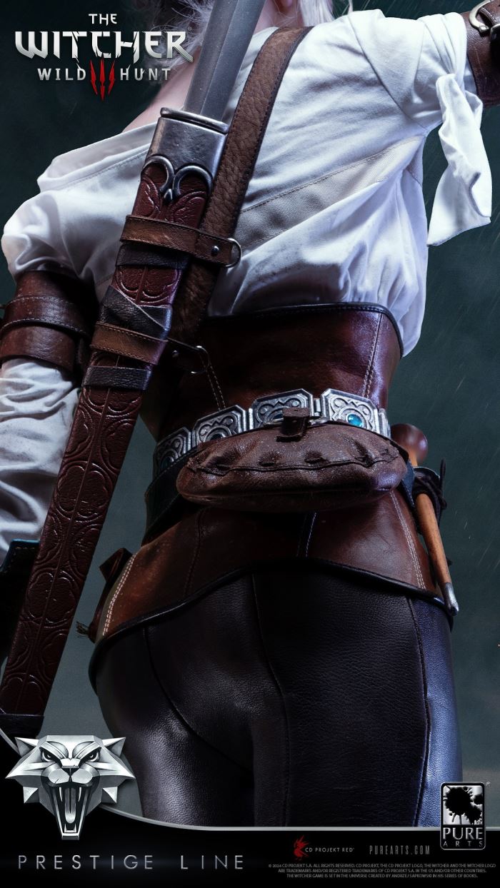 Ciri - The Witcher 3: Wild Hunt 1/2