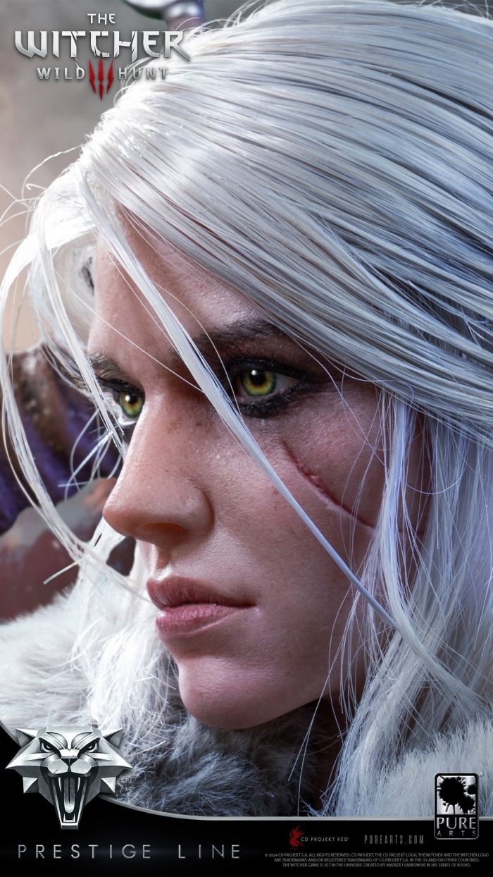 Ciri - The Witcher 3: Wild Hunt 1/2